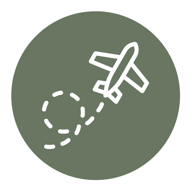 Alt Image