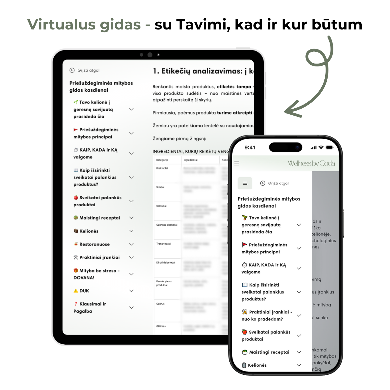 Priešuždegiminės mitybos gidas